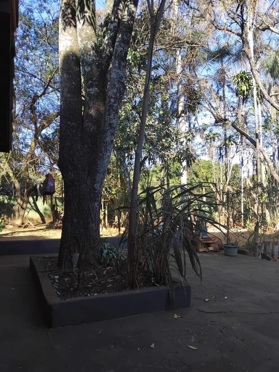Sitio Bemtevi - Jockey Camping - Uberlandia别墅 外观 照片