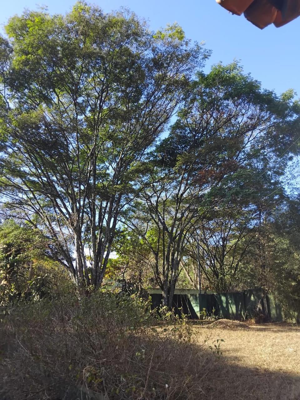 Sitio Bemtevi - Jockey Camping - Uberlandia别墅 外观 照片
