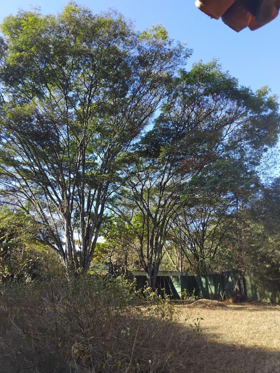 Sitio Bemtevi - Jockey Camping - Uberlandia别墅 外观 照片